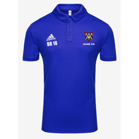 Ash Manor Polo